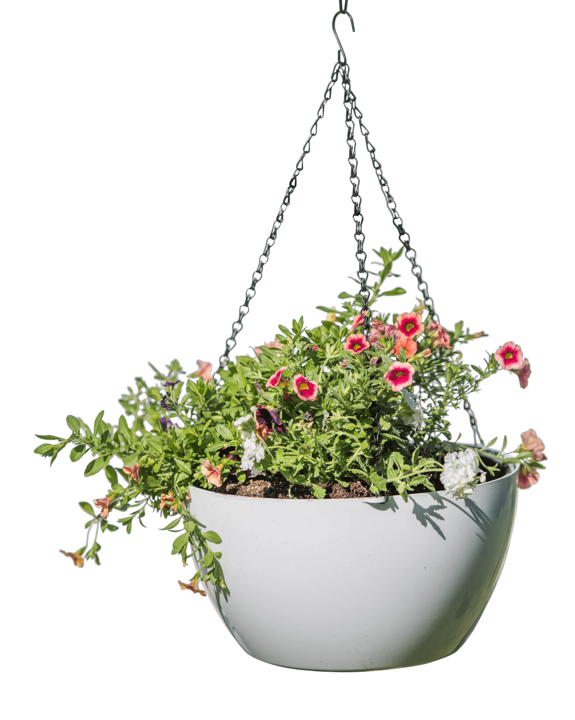 misco self-watering hanging planter Viva™ Self-Watering Hanging Basket, 14" Diameter