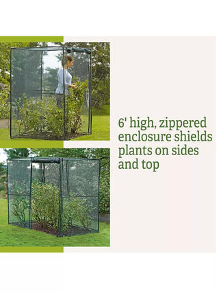  || https://assets.gardeners.com/transform/46545171-8560-46f8-9b79-6ebf667dcbf0/8596539_2