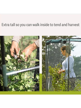  || https://assets.gardeners.com/transform/e548c670-31a5-4b35-8588-4023c2f7af3c/8596539_3