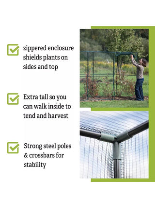  || https://assets.gardeners.com/transform/0b1a2c44-d43b-4ca5-885e-c2db3e345b46/8596540_4