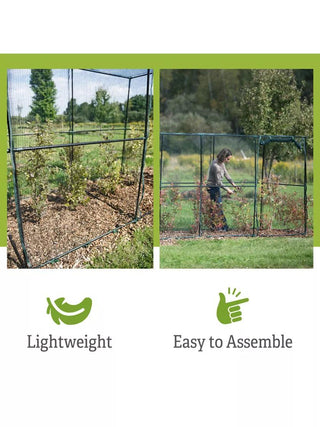  || https://assets.gardeners.com/transform/ff6aeecc-2129-441c-af74-72969d612c00/8596540_6