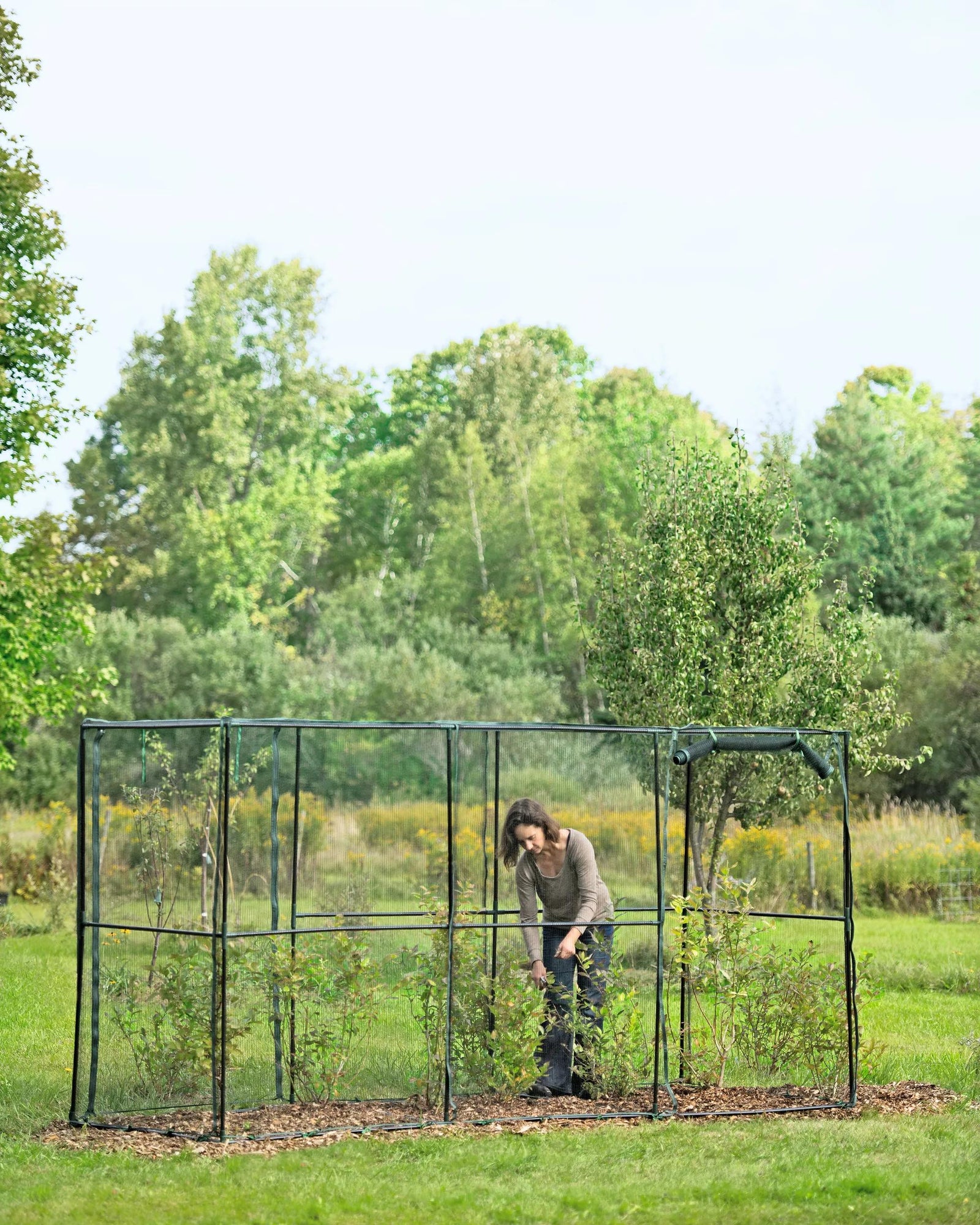 Crop Cage 4 ft x 12 ft x 6 ft Tall | Gardener's Supply