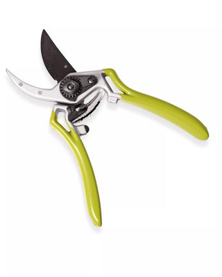  || https://assets.gardeners.com/transform/2eaa7eff-5e91-4615-b4b6-f9643f77c7a7/8596605_7112-tif