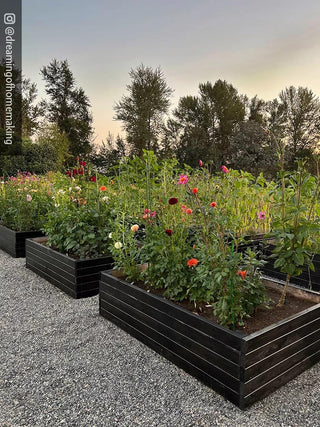  || https://assets.gardeners.com/transform/db28c0bb-6ebd-41d3-a58f-cd8085b58aa7/8596700_02IN
