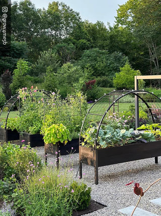 || https://assets.gardeners.com/transform/1eab5a75-363c-4548-b215-56877331241b/8596760_03IN_GraphiteGray
