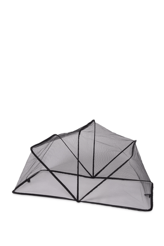  || https://assets.gardeners.com/transform/4ffd5bb7-3c1d-43ec-b71e-c8f55c4b3a40/8596764_17684-tif