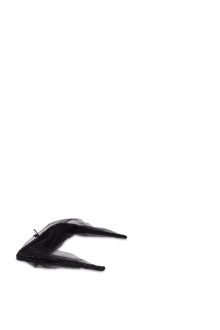  || https://assets.gardeners.com/transform/d6b61c67-c839-4092-9e06-33f326dcb28c/8596764_17687-tif
