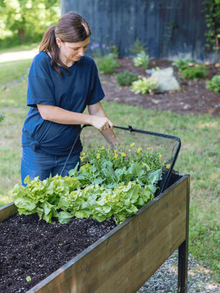  || https://assets.gardeners.com/transform/22ad8fc0-16d0-406d-9a58-acf2a2bae447/8596764_PopUpBirdNetting-gif
