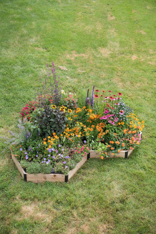  || https://assets.gardeners.com/transform/78c5a23d-ca6b-4ba9-8373-f71a239c5e82/8597000_4163-tif