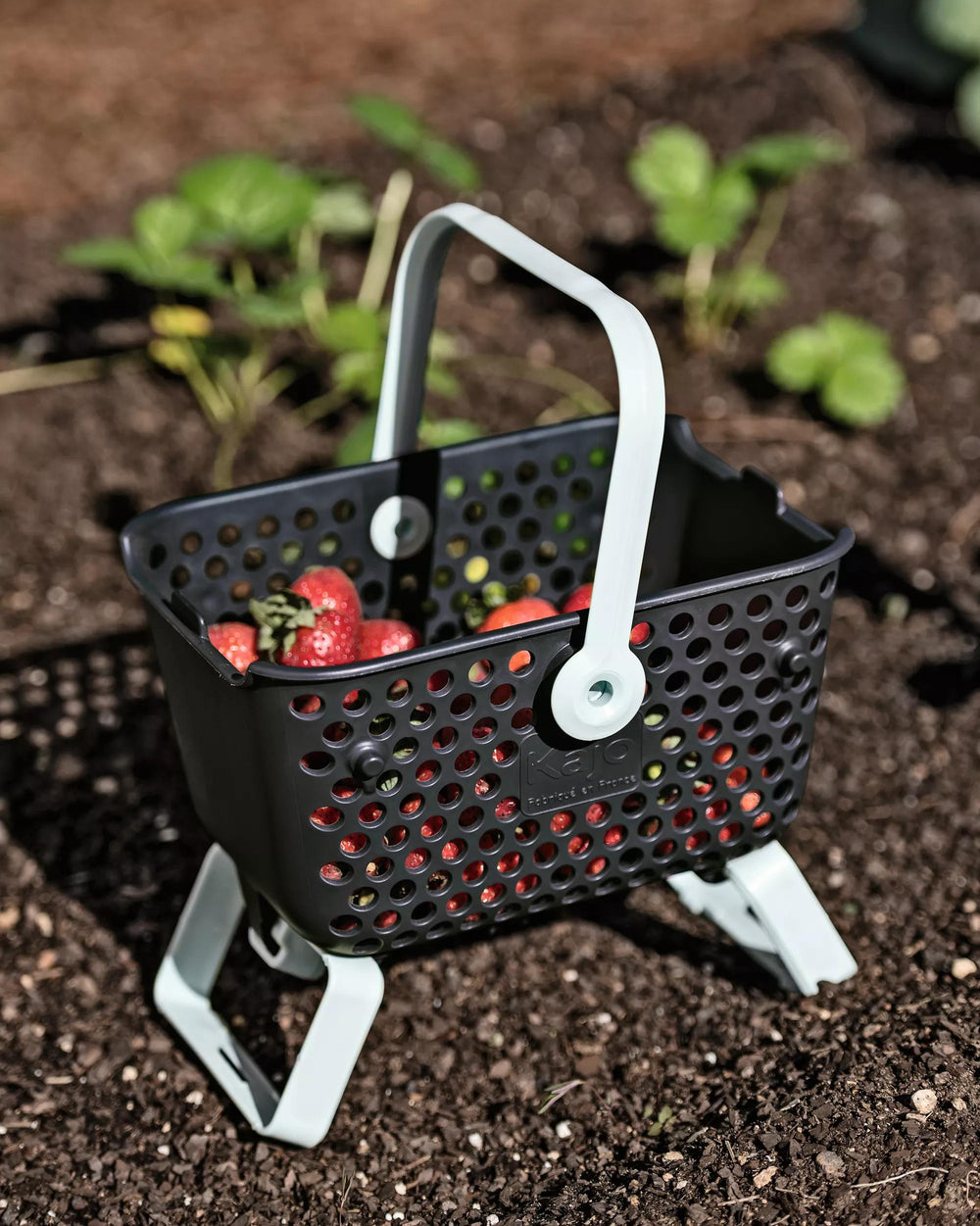 Mod Hod Mini - Garden Hod | Gardener's Supply
