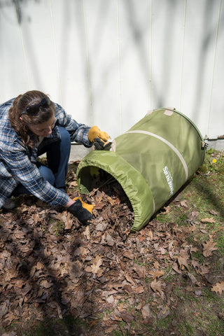  || https://assets.gardeners.com/transform/6529f71f-2cbd-4fa9-999d-48b5cbcd4420/8597377_1313-tif