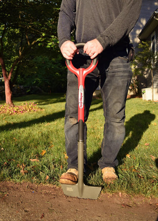  || https://assets.gardeners.com/transform/391d8abf-8fe0-4ea8-a504-b08821d46bbe/8597384_01V-tif