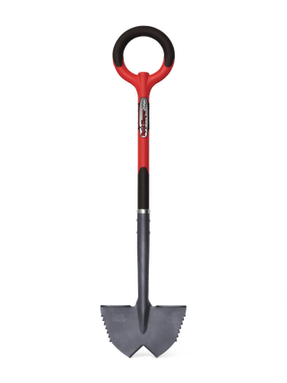  || https://assets.gardeners.com/transform/ad37df10-9b62-4ee1-933c-c17af2a8dc9e/8597384_03V-tif