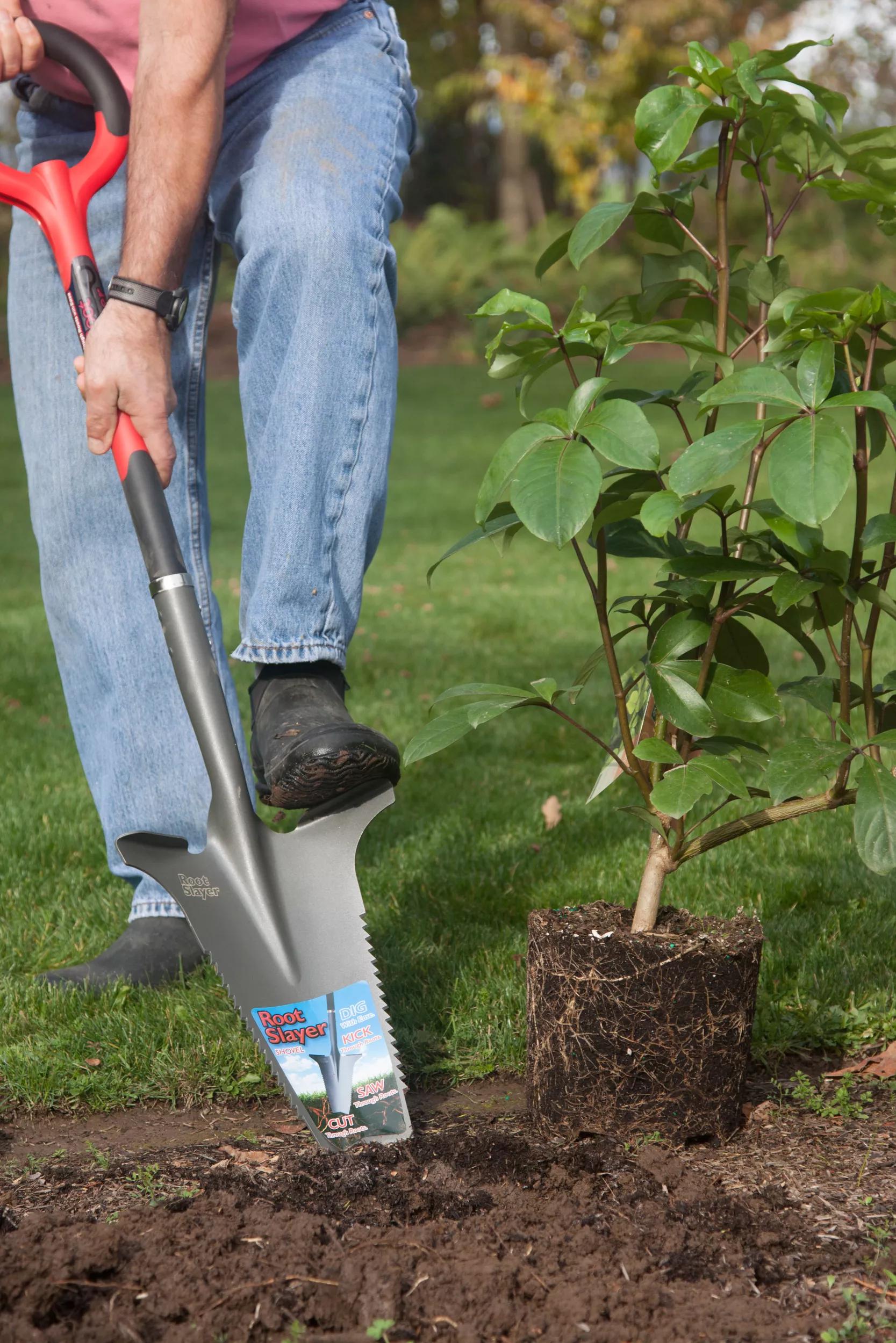 Mast qizlar jinsiy aloqa onlayn video Nijnevartovskdagi samimiy dam olish tadbirlari