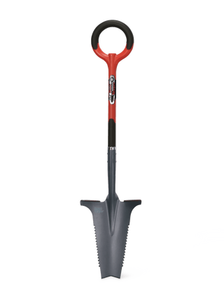  || https://assets.gardeners.com/transform/d6e3e0be-f8a5-4b0f-9467-2eef51bbc612/8597386_02V-tif