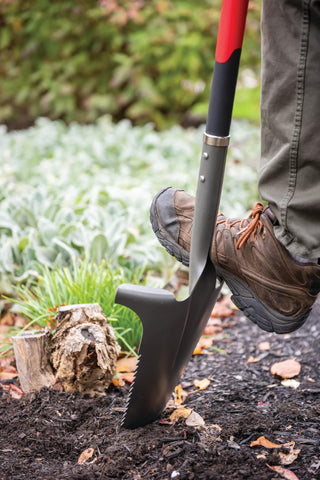  || https://assets.gardeners.com/transform/8b9dc5f8-1b12-4786-afbe-e4a164f5131e/8597386_1148-tif