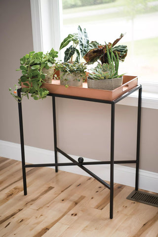  || https://assets.gardeners.com/transform/e5bea7ee-f2b0-4669-98ff-ad157148f42d/8597416_2531-tif