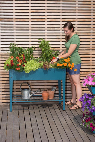 || https://assets.gardeners.com/transform/53ac84f8-2696-43e9-841b-ba4b757192e8/8597496_0038-tif