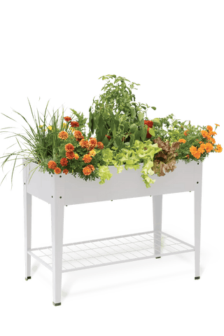  || https://assets.gardeners.com/transform/aac70a07-82a3-4993-9724-f94931ad9f1f/8597496_0062-tif