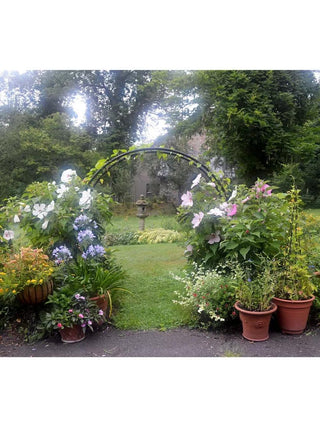  || https://assets.gardeners.com/transform/90e3709c-d112-4e56-9c3f-cf34645e4d02/8597699_01V