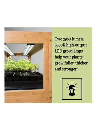  || https://assets.gardeners.com/transform/a888d74f-ff9b-4be5-8e86-1b31de3c2225/8597720_2