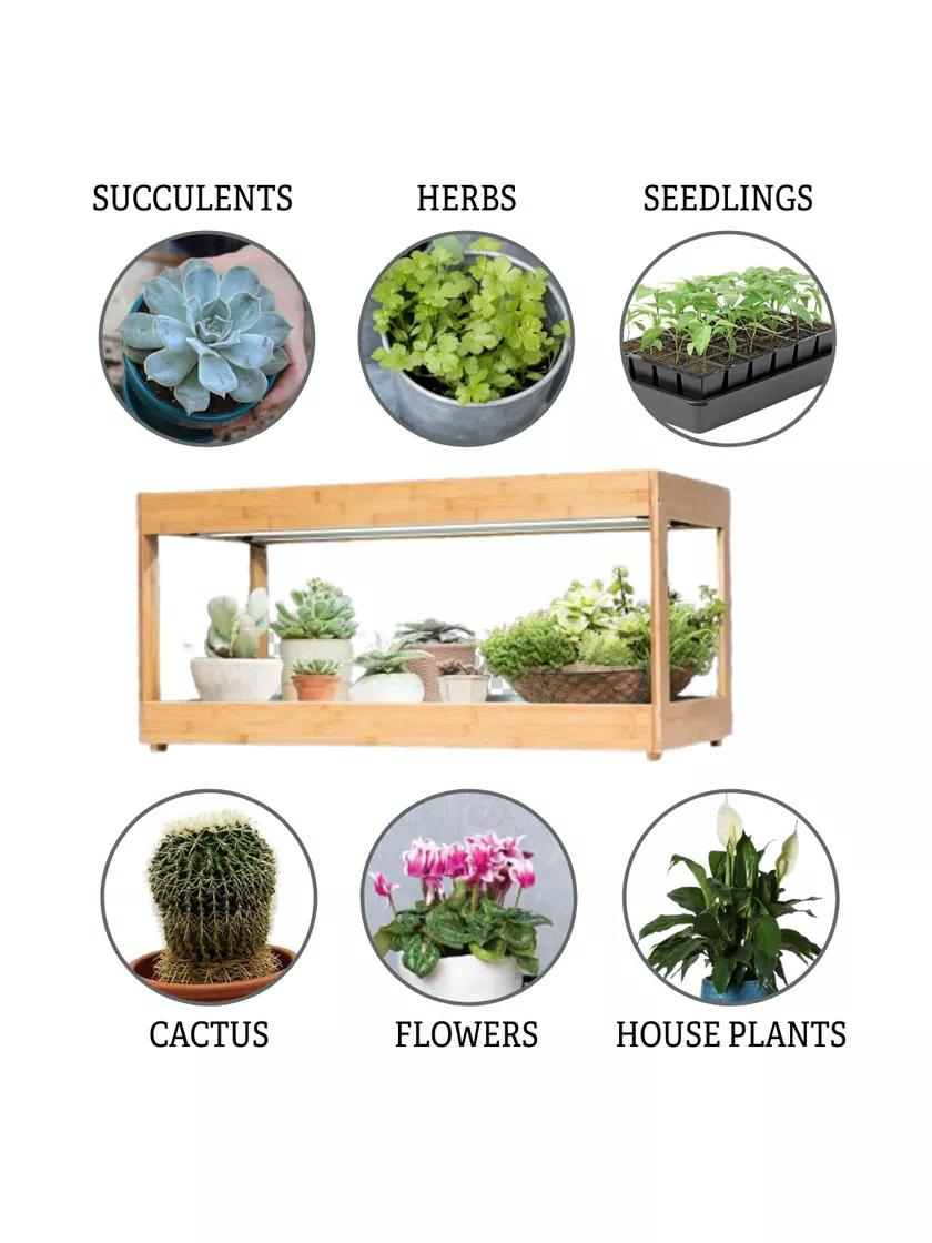 indoor grow lamp for succulents LED Grow Lights in Low Bamboo Plant Shelf