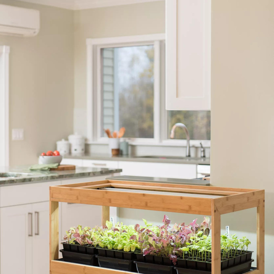 Grow Lights, Bulbs, Stands, & Fixtures | Gardener's Supply