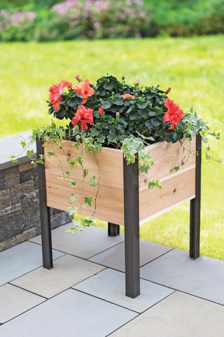  || https://assets.gardeners.com/transform/c4bfe1b4-2647-4e64-8a79-b87d837d97a1/8597991_1022-tif