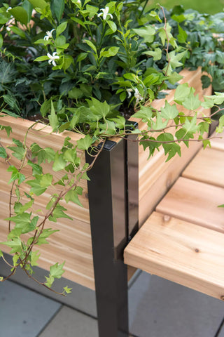  || https://assets.gardeners.com/transform/ef45c032-e025-4e2c-960f-b527ea327921/8597992_0978-tif
