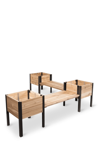 || https://assets.gardeners.com/transform/c2460a77-afda-4a17-8a09-46950246281a/8597992_10056-tif