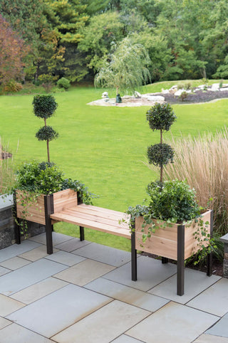 || https://assets.gardeners.com/transform/021e62ec-1346-41f3-ab48-42e85019e3b7/8597992_9601-tif