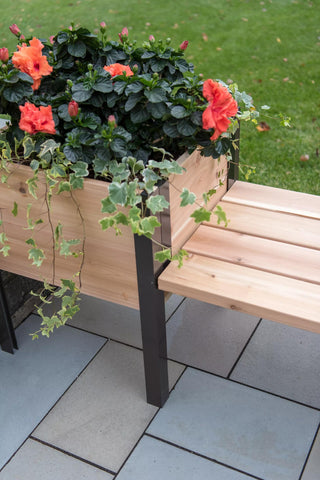  || https://assets.gardeners.com/transform/b5c8a5ad-846d-4dd0-93a8-b02159eea485/8597992_9645-tif
