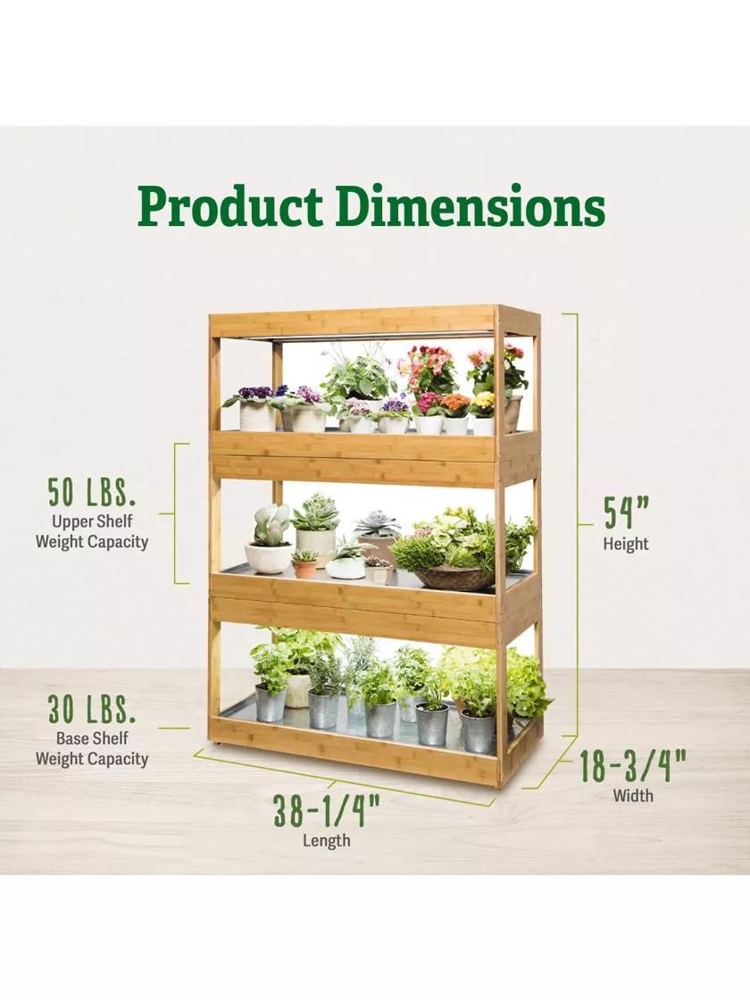 indoor grow light for succulents 3-Tier Bamboo Stand with LED Grow Lights for Succulents and Seeds