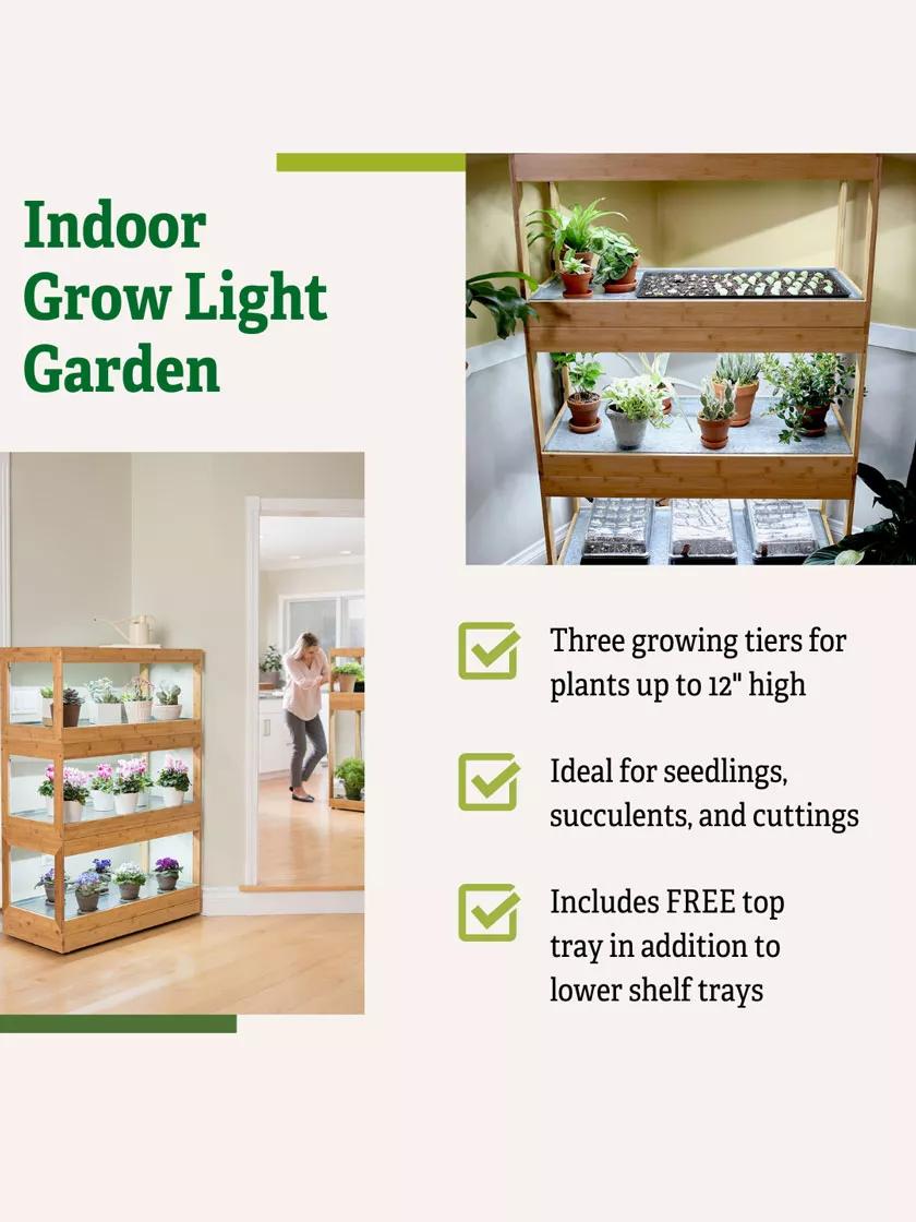 best led grow lights for succulents Bamboo LED Grow Light Garden for Succulents and Seeds