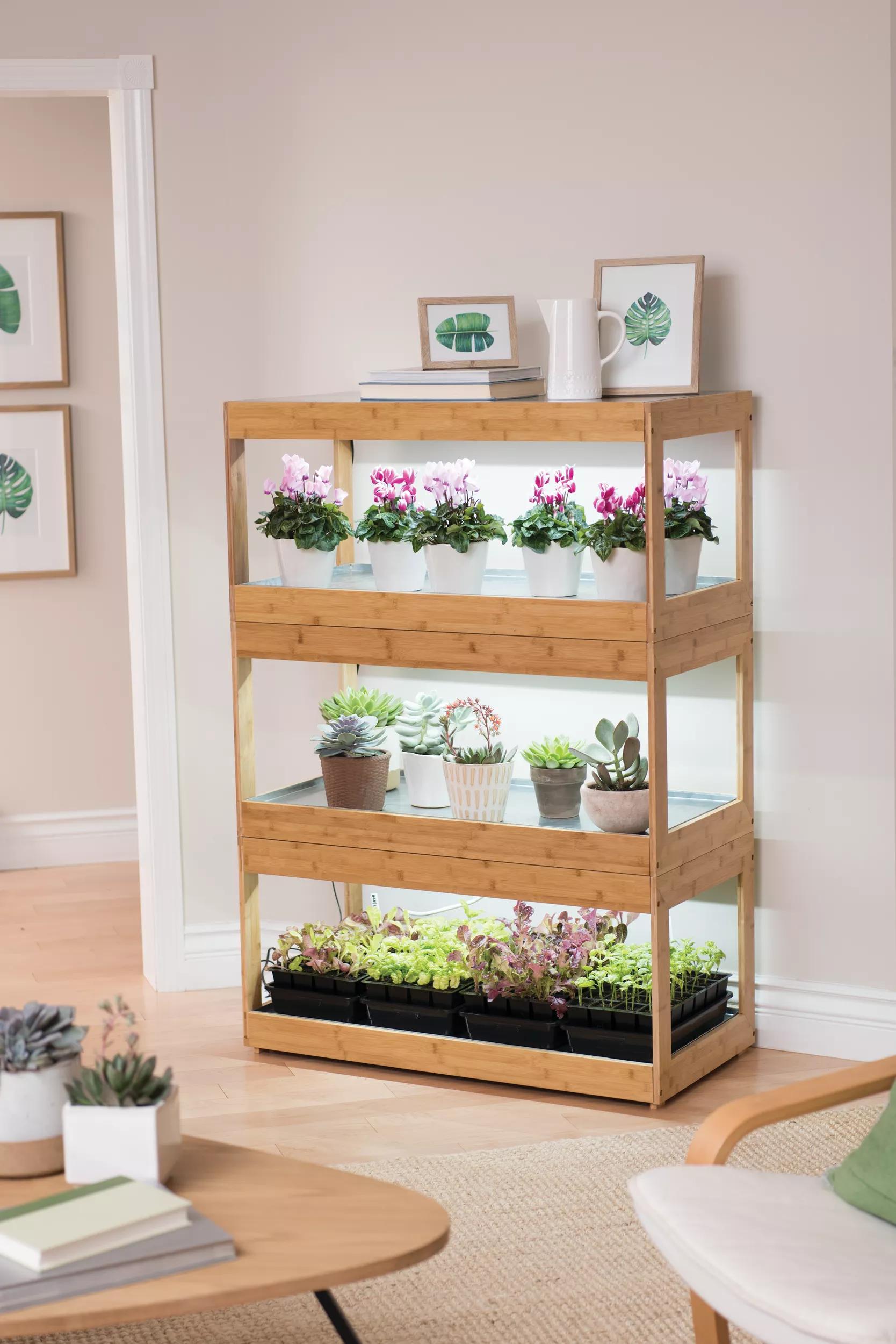 indoor lighting for succulents Bamboo LED Grow Light Garden for Succulents and Seeds