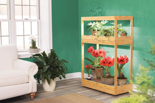  || https://assets.gardeners.com/transform/cf423cbb-f8c7-4505-9b40-c55bacf08d27/8598088_21575-tif