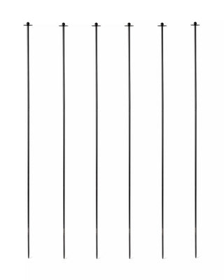  || https://assets.gardeners.com/transform/b7af1aa9-2c83-4767-980e-eb3b6a8664a8/8598154_1000-tif