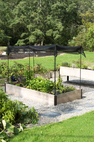  || https://assets.gardeners.com/transform/2a1bb6ea-28ca-4c85-9356-e91c38b7593b/8598156_0669-tif