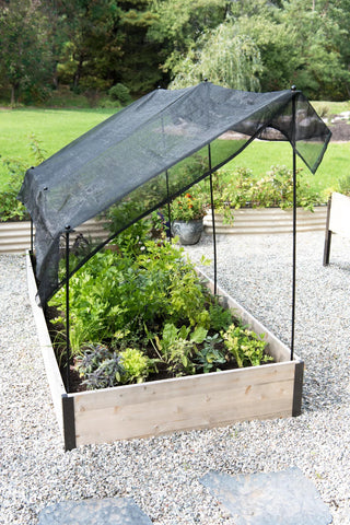  || https://assets.gardeners.com/transform/6412fb28-c95f-4271-afe7-816532b41013/8598156_0682-tif