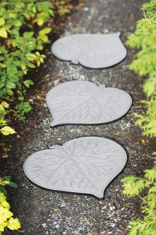  || https://assets.gardeners.com/transform/a47fd463-dca5-44d1-b3bf-413b929c8f35/8598247_8039-tif