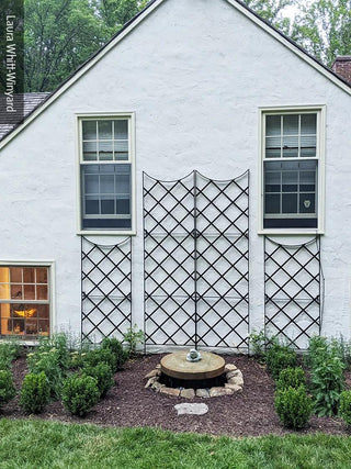  || https://assets.gardeners.com/transform/3192c46f-c914-4bc7-b112-19fc42f900ea/8598275_02CUST-tif