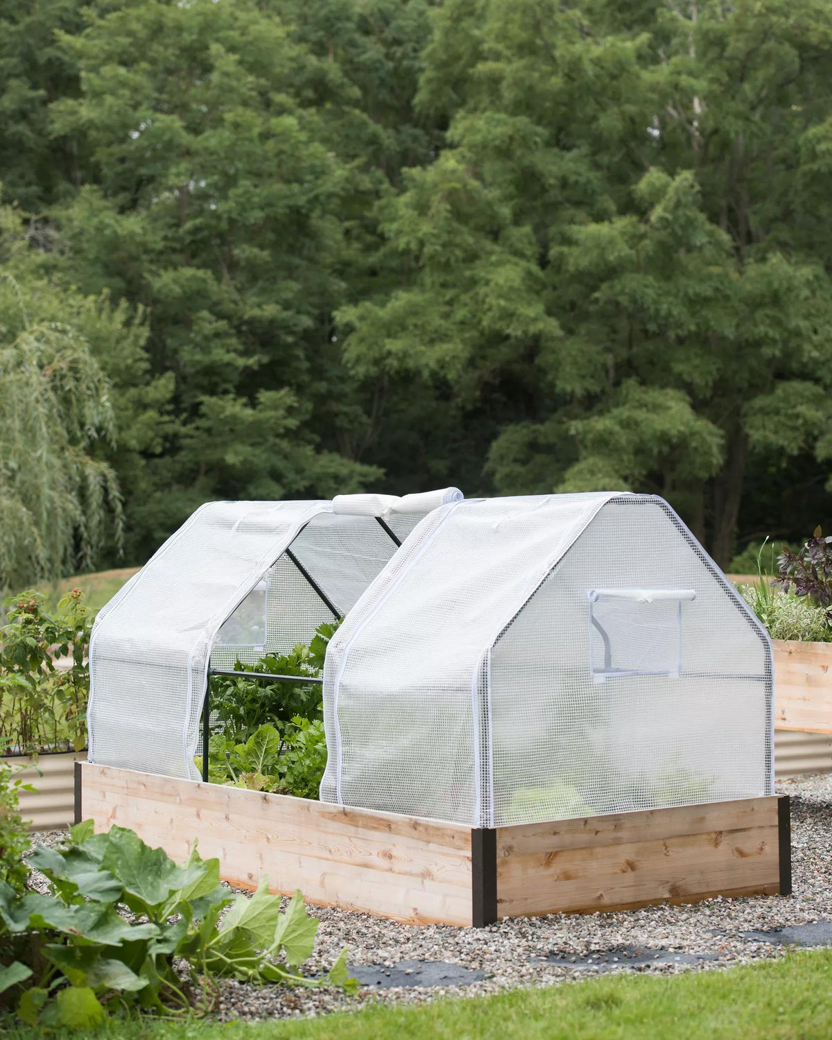 Natural Protection Insect Natural Insect Protection for Gardens | Gardener's Supply