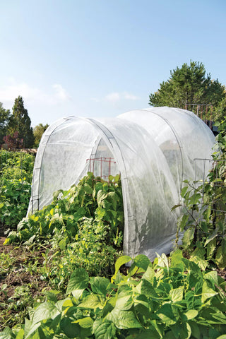 || https://assets.gardeners.com/transform/e57d7193-a858-42b1-8c93-a48aa3e667a1/8598301_0611-tif