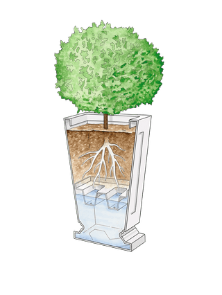  || https://assets.gardeners.com/transform/e93b6efe-2f39-4243-9cda-ac6d0bbb95e6/8598549_0001_art-tif