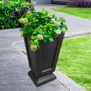  || https://assets.gardeners.com/transform/fd38de86-cba5-4906-be27-793c67051600/8598549_01V-tif