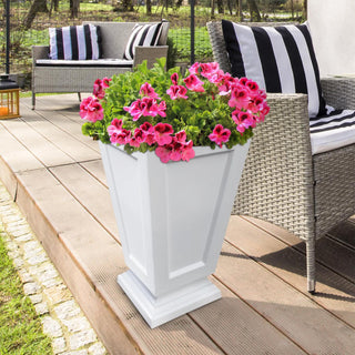  || https://assets.gardeners.com/transform/8b09424e-4b18-4bf6-b8de-0e27016d75f8/8598549_02V-tif