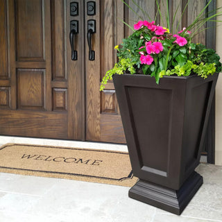  || https://assets.gardeners.com/transform/b45d9cc3-e1b3-4e50-9268-7ea05764dfec/8598549_03V-tif