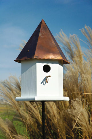  || https://assets.gardeners.com/transform/927456c7-455a-44a5-8f4f-7571e6781577/8598849WHBC_02V-tif