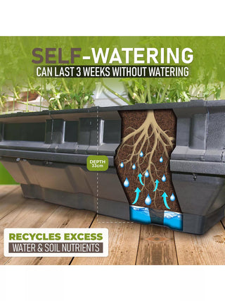  || https://assets.gardeners.com/transform/81341b15-57fa-4923-86f5-d35849d4444a/-8598930_02V