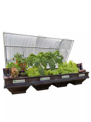  || https://assets.gardeners.com/transform/1add5ec6-2624-4c7d-ab0a-45b05d80521f/8598931_02V